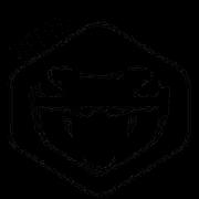 阿德莱德毒蛇后备队